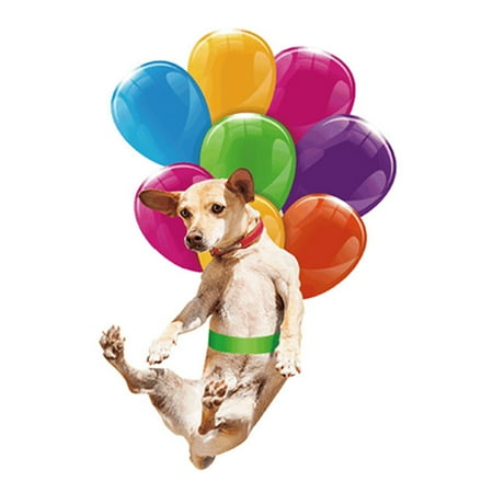 LEZHAN Hanging Pendant Animal Pattern Cute Acrylic Car Bright-colored Hanging Widget for Decoration
LEZHAN Hanging Pendant Animal Pattern Cute Acrylic Car Bright-colored Hanging Widget for Decoration