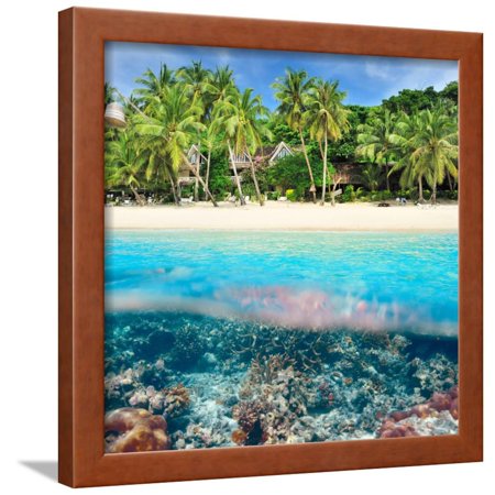 Beautiful Beach with Coral Reef Bottom Underwater and above Water Split View Framed Print Wall Art By haveseen