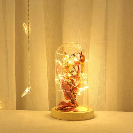 Holiday Gift For Mother s Day Leaf Tree Branch With Lamp Glass Cover Night Light Birthday Gift Home Decoration Lighting Girl Lamp SLPUSH
Holiday Gift For Mother s Day Leaf Tree Branch With Lamp Glass Cover Night Light Birthday Gift Home Decoration Lighting Girl Lamp SLPUSH