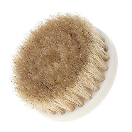 BAMILL 60mm Drill Powered Brush 6mm Shank Drill Brush For Cleaning Tile Grout Carpet
BAMILL 60mm Drill Powered Brush 6mm Shank Drill Brush For Cleaning Tile Grout Carpet