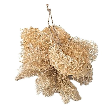 Yoslce Cleaning Supplies Natural Loofah Luffa Loofa Superfine Fiber Brush for Kitchen Cup Pots and Bowls
Yoslce Cleaning Supplies Natural Loofah Luffa Loofa Superfine Fiber Brush for Kitchen Cup Pots and Bowls