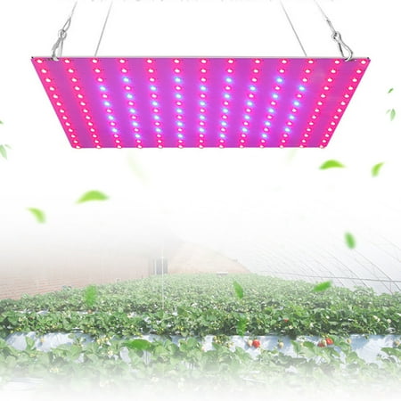 【JCXAGR】 LED Red and Blue Flower And Succulent Indoor Plant Growth Supplement Light
【JCXAGR】 LED Red and Blue Flower And Succulent Indoor Plant Growth Supplement Light