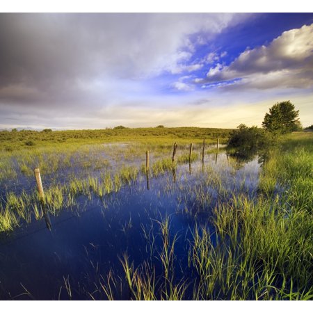 Pastureland After Rain Storm Near Cochrane Alberta Canada Stretched Canvas - Darwin Wiggett Design Pics (14 x 13)