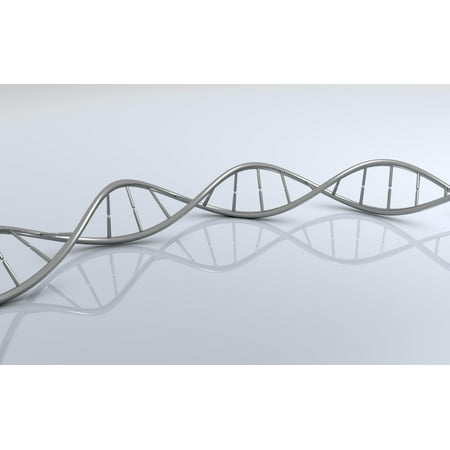 Conceptual image of DNA Stretched Canvas - Stocktrek Images (36 x 23)