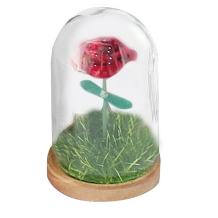 Weerihhol Bust Statue Flower With Glass Cover Decoration Forever Immortal Flower For Bookshelf Tabletop Dining Room Anniversary Wedding Rose
Weerihhol Bust Statue Flower With Glass Cover Decoration Forever Immortal Flower For Bookshelf Tabletop Dining Room Anniversary Wedding Rose