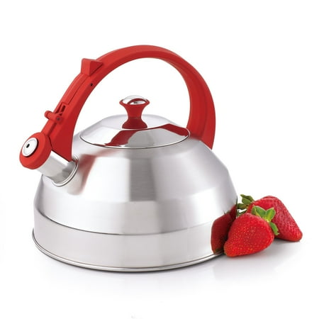 Creative Home Steppes Stainless Steel Tea Kettle