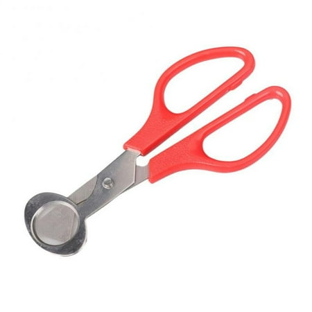 Quail Egg Opener Bird Egg Scissors Stainless Steel Egg Cutter Egg Shell Cutter Egg Opener Kitchen Hand Tools Scissors Gadget
Quail Egg Opener Bird Egg Scissors Stainless Steel Egg Cutter Egg Shell Cutter Egg Opener Kitchen Hand Tools Scissors Gadget