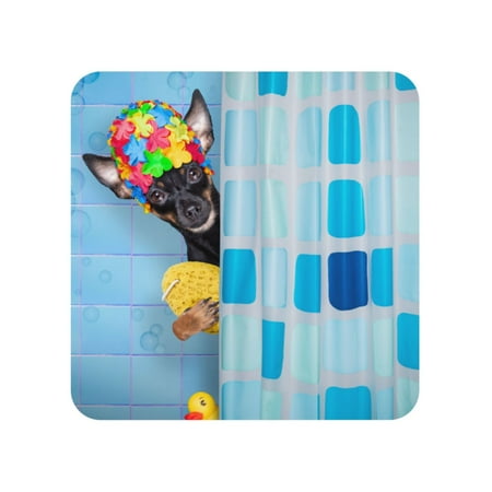 Xecao Prague Ratter Dog in Bathtub for Fridge Magnets - Fun Decorative Refrigerator Magnets Cute and Soft for Stylish Kitchen Accents
Xecao Prague Ratter Dog in Bathtub for Fridge Magnets - Fun Decorative Refrigerator Magnets Cute and Soft for Stylish Kitchen Accents