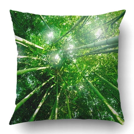 ARTJIA Bamboo Forest With Morning Sunlight Pillowcase Pillow Cushion Cover 18x18 inch