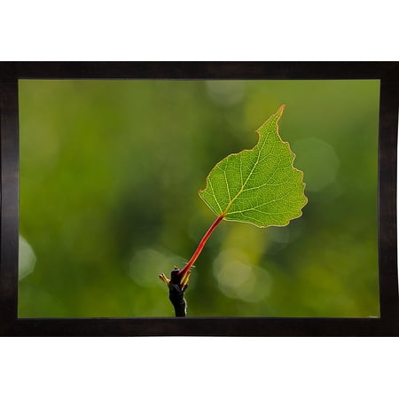 605 HDRT-GORSEM119308 Print 20.5"x30.75" by Gordon Semmens in a Affordable Black Medium