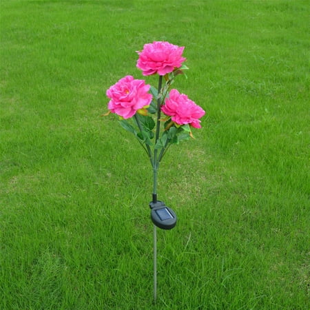 Summer Savings 2023! WJSXC Home Decor Clearance Solar Lantern LED Decorative Outdoor Lawn Lamp 4 Head Solar Horseshoe Lant Hot Pink
Summer Savings 2023! WJSXC Home Decor Clearance Solar Lantern LED Decorative Outdoor Lawn Lamp 4 Head Solar Horseshoe Lant Hot Pink