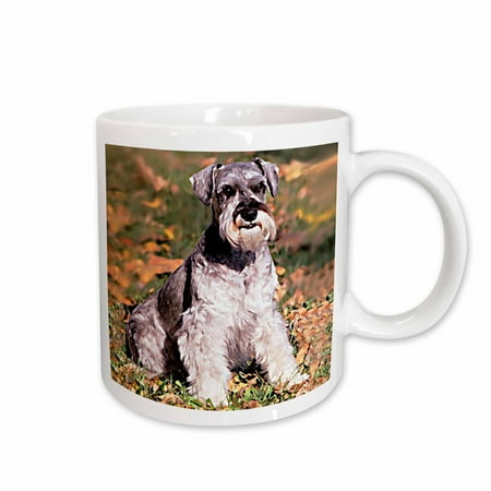 3dRose Schnauzer Ceramic Mug 15-ounce