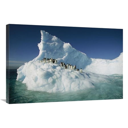 24 x 36 in. Adelie Penguin Group Riding Sculpted Iceberg, Terre Adelie Land, East Antarctica Art Print - Colin Monteath