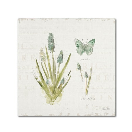 Trademark Fine Art 'In the Forest VII' Canvas Art by Katie Pertiet