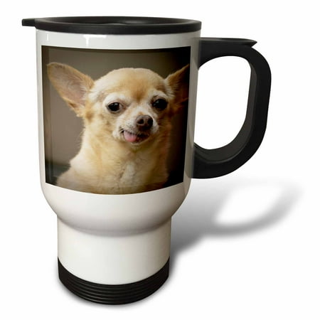 3dRose Toothless Chihuahua Dog Santa Fe New Mexico - US32 JMR0502 - Julien McRoberts Travel Mug 14oz Stainless Steel
3dRose Toothless Chihuahua Dog Santa Fe New Mexico - US32 JMR0502 - Julien McRoberts Travel Mug 14oz Stainless Steel