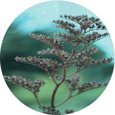 Ahgly Company Indoor Round Patterned MediumTurquoise Green Area Rugs 7 Round
Ahgly Company Indoor Round Patterned MediumTurquoise Green Area Rugs 7 Round