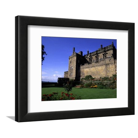 Scottish Castle with Rose Garden, Stirling Castle, Scotland Framed Print Wall Art By Bill Bachmann