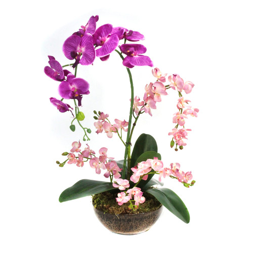 Dalmarko Designs Bamboo Floor Plant in Planter