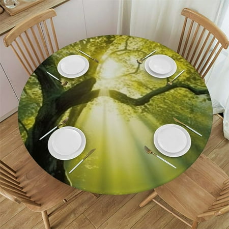 Tllo0ord Tablecloth Toppers for Round Tables Hazy Polyester Washable Table Cloths Fits up Tables 42-46
Tllo0ord Tablecloth Toppers for Round Tables Hazy Polyester Washable Table Cloths Fits up Tables 42-46