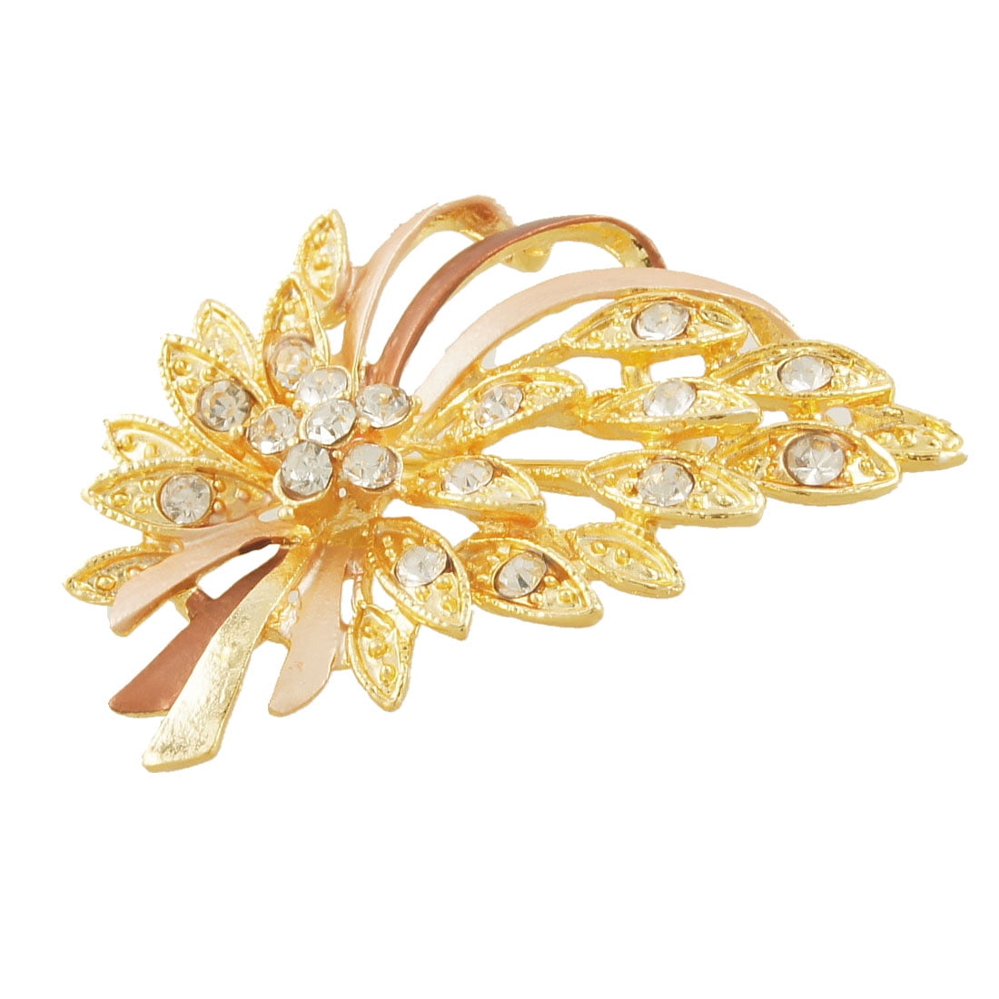 brooch or broach