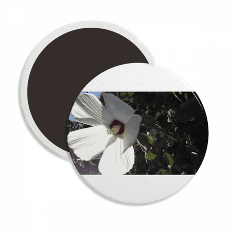 White Daizy Photography Culture Round Ceracs Fridge Magnet Keepsake Decoration