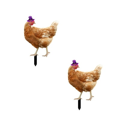 Chicken Tag With Witch Hat Garden Ground Tag Garden Cemetery Holiday Decoration Plug In Chicken Tag 2PCS Ground Lights for outside Warm Outdoor Ground Lights Solar Powe Marker Flags Christmas Sign for
Chicken Tag With Witch Hat Garden Ground Tag Garden Cemetery Holiday Decoration Plug In Chicken Tag 2PCS Ground Lights for outside Warm Outdoor Ground Lights Solar Powe Marker Flags Christmas Sign for