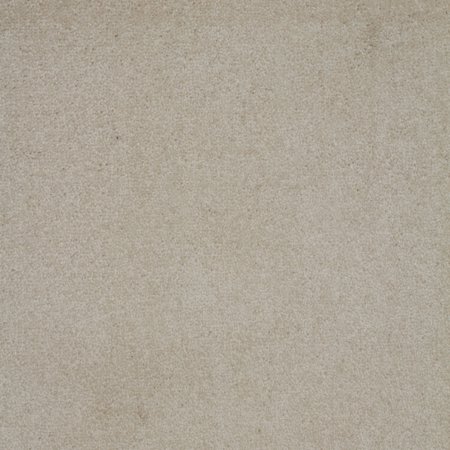Bright House Solid Color Off White 6' Square - Area Rug