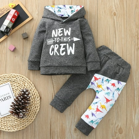 Augper Baby Girl Clothes Long Sleeve Fall Winter Clearance Newborn Baby Long Sleeve Dinosaur Printed Hoodie Sweatshirt Top+Long Pants Set Gray
Augper Baby Girl Clothes Long Sleeve Fall Winter Clearance Newborn Baby Long Sleeve Dinosaur Printed Hoodie Sweatshirt Top+Long Pants Set Gray