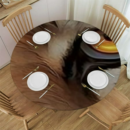 SHERONV Tiger Eyes Fur Round Table Cover Stain Resistant Washable for Indoor Outdoor Kitchen Dining Wedding Parties 100% Polyester Fiber Great for Home Kitchen Parties Holiday Dinner Farmhouse 46 -50
SHERONV Tiger Eyes Fur Round Table Cover Stain Resistant Washable for Indoor Outdoor Kitchen Dining Wedding Parties 100% Polyester Fiber Great for Home Kitchen Parties Holiday Dinner Farmhouse 46 -50