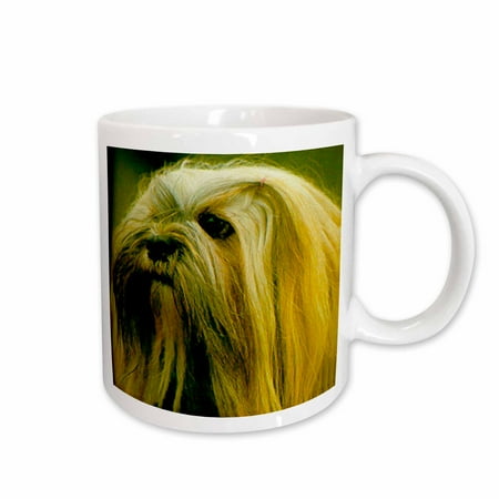 3dRose Lhasa Apsos - Ceramic Mug 11oz (mug_659_1)