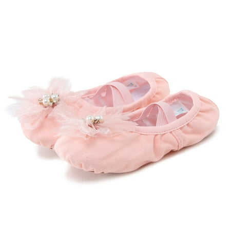 LYCAQL Kid Shoes Dance Shoes Dancing Ballet Performance Indoor Pearl Flower Yoga Practice Dance Size 2 Girls Running Shoes (Pink 1 Big Kids)
LYCAQL Kid Shoes Dance Shoes Dancing Ballet Performance Indoor Pearl Flower Yoga Practice Dance Size 2 Girls Running Shoes (Pink 1 Big Kids)