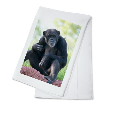 Chimpanzee (100% Cotton Tea Towel Decorative Hand Towel Kitchen and Home)