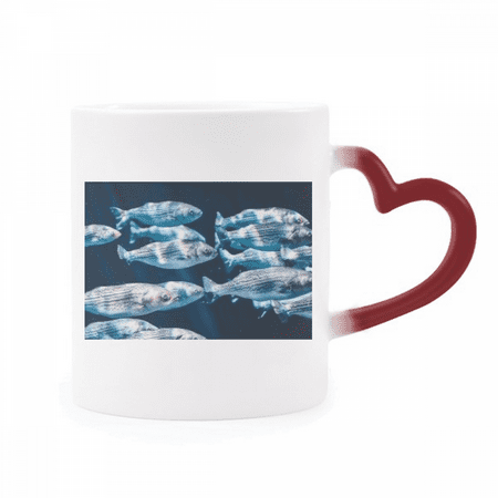 Fish Animal Marine Organism Tropical Heat Sensitive Mug Red Color Changing Stoneware Cup
Fish Animal Marine Organism Tropical Heat Sensitive Mug Red Color Changing Stoneware Cup