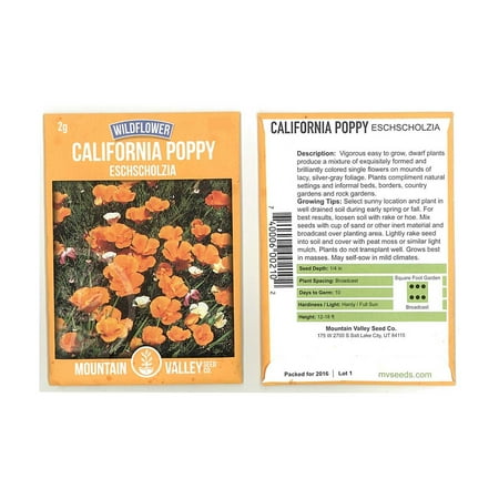 California Poppy Flower Seeds - 2 Gram Packet- Wildflower Garden Seeds - Eschscholtzia californica by Mountain Valley Seed Co