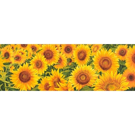 Field of Sunflowers Stretched Canvas - Luca Villa (24 x 48)