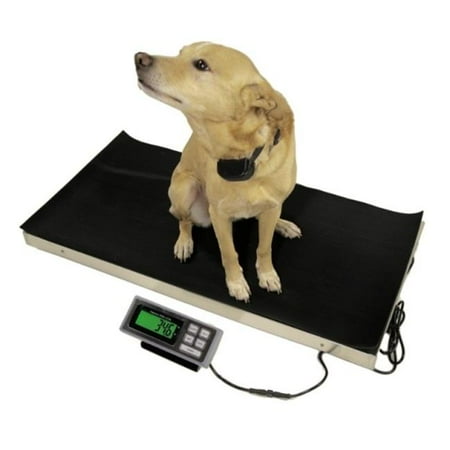 LW Measurements TREE LVS700 Veterinary Scale 700lb x 0.2lb - 38 x 20 Platform