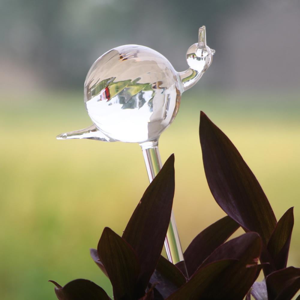 Plant Waterer Cute Self Watering Globes Hand Blown Clear Glass Plant