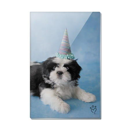 Shih Tzu Dog Birthday Party Hat Rectangle Acrylic Fridge Refrigerator Magnet