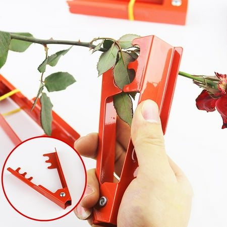 Windfall Professional Rose Leaf Thorn Stripper Kit Stripping Tool Thorn Remover for Roses & Garden Glove Flower Stem Burrs Pliers Cutting Tool Garden Leaves Stripping Rose Thorn Remover
Windfall Professional Rose Leaf Thorn Stripper Kit Stripping Tool Thorn Remover for Roses & Garden Glove Flower Stem Burrs Pliers Cutting Tool Garden Leaves Stripping Rose Thorn Remover