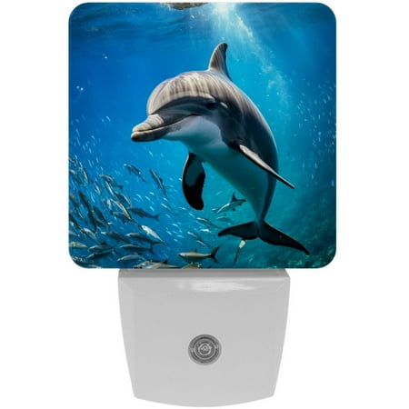LED Night Lights Plug into Wall 2-Pack 0.5W Plug in Night Light Dusk to Dawn White Bright Nightlight for Bedroom Bathroom Hallway Kitchen Blue Ocean Animal Sea Whale Fish
LED Night Lights Plug into Wall 2-Pack 0.5W Plug in Night Light Dusk to Dawn White Bright Nightlight for Bedroom Bathroom Hallway Kitchen Blue Ocean Animal Sea Whale Fish