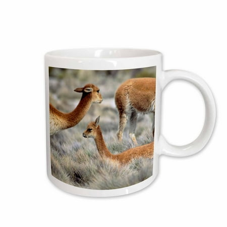 3dRose Vicuna wildlife Altiplano Chile - SA05 MZW0083 - Martin Zwick Ceramic Mug 15-ounce
3dRose Vicuna wildlife Altiplano Chile - SA05 MZW0083 - Martin Zwick Ceramic Mug 15-ounce