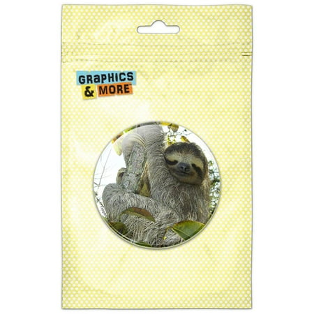 Sloth Pygmy in Tree Refrigerator Button Magnet