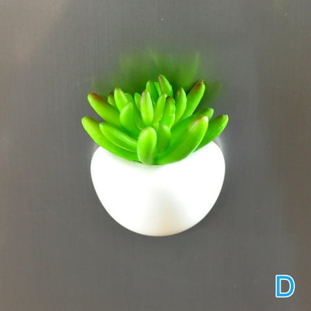 Succulent Potted Plants 3d Refrigerator Fridge Magnets Sticker Cute Portable Home Kitchen Decoration
Succulent Potted Plants 3d Refrigerator Fridge Magnets Sticker Cute Portable Home Kitchen Decoration
