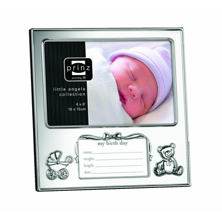 Prinz 6 by 4-Inch Just Arrived Silverplated Metal Frame