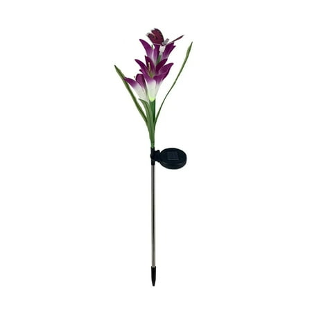 HANUUAZ Clearance Sale! Garden Tools Decorate The Outdoor Area Solar Lily Silk Fabric Outdoor Insertion LED (Purple)
HANUUAZ Clearance Sale! Garden Tools Decorate The Outdoor Area Solar Lily Silk Fabric Outdoor Insertion LED (Purple)