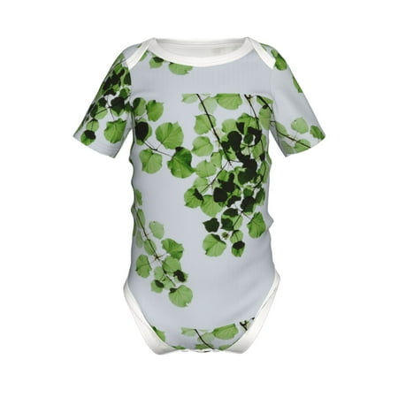 Junzan Watercolor Green Leaves Print Short-Sleeve Baby Climbing Clothes Bodysuits for Infant One-Piece for Baby Boys & Girls Baby Clothes Baby Romper with Snap Closure-6 Months
Junzan Watercolor Green Leaves Print Short-Sleeve Baby Climbing Clothes Bodysuits for Infant One-Piece for Baby Boys & Girls Baby Clothes Baby Romper with Snap Closure-6 Months