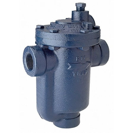 Armstrong International Steam Trap 125 psi 400F 5 In. L 811-100-125