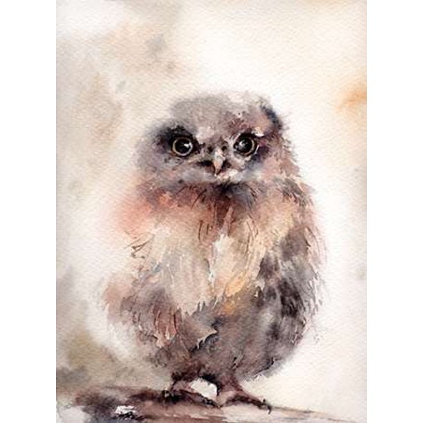 Hooter Stretched Canvas - Sophia Rodionov (18 x 24)