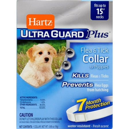 Hartz Flea And Tick Collar For Dogs Reviews Hartz Flea And Tick Collar For Dogs Reviews