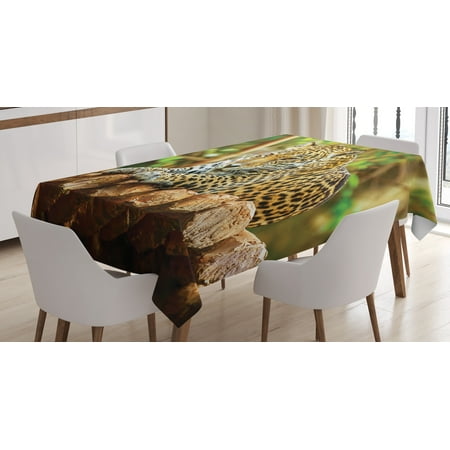 Ambesonne Zoo Tablecloth Rectangular Table Cover Jaguar on Wood Wild Feline 52 x70 Green Yellow Brown
Ambesonne Zoo Tablecloth Rectangular Table Cover Jaguar on Wood Wild Feline 52 x70 Green Yellow Brown